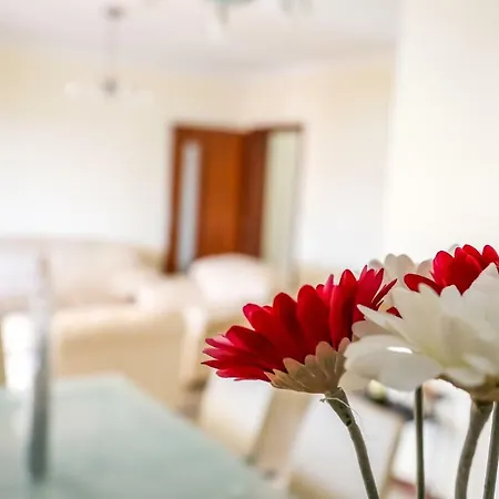 Urban Villa Trogir